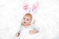 Free Stock Photo 13487 ears of a toy Easter bunny | freeimageslive