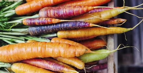 Cinq légumes racines que vous devez connaître | WW Canada