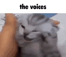 The Voices Meme GIF - The Voices Meme Cat - Discover & Share GIFs