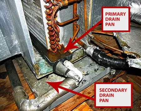 Mold in Your Air Conditioner’s Drip Pan? Here’s a Few Reasons Why… – Paschal Air, Plumbing ...