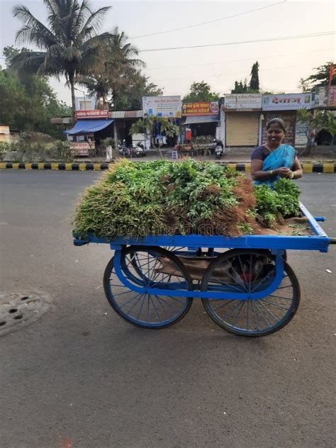 A Vegetable Seller Cart. Delivery of Vegetables Editorial Stock Photo ...