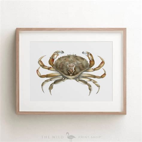 Crab Print Vintage Crab Print Crab Wall Art Nautical Print | Etsy