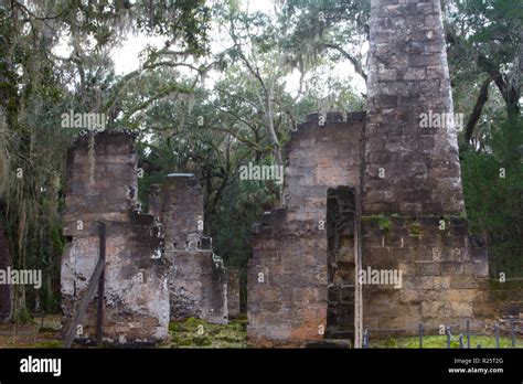 Bulow Plantation, Florida Stock Photo - Alamy