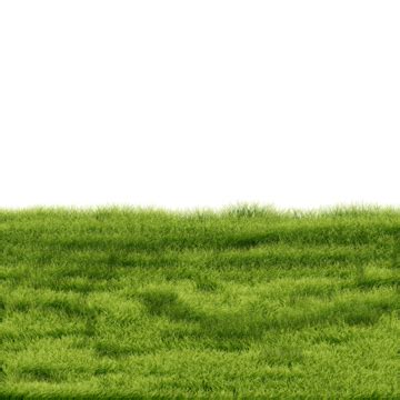 Green Grass, Garden Grass, Grass, Cartoon Grass PNG Transparent Clipart ...