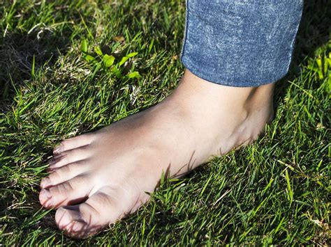 Earthing - Connect to the Earth and Heal — Wild Free Organic