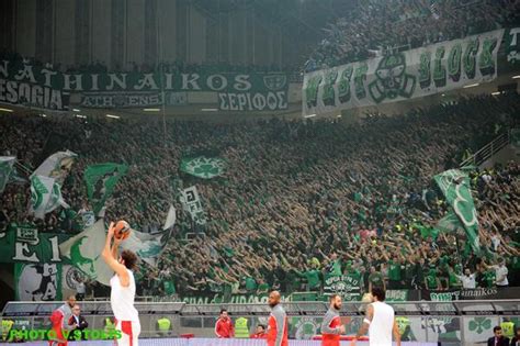 Panathinaikos BC Secures OAKA Indoor Stadium For 49 Years – Greek City Times