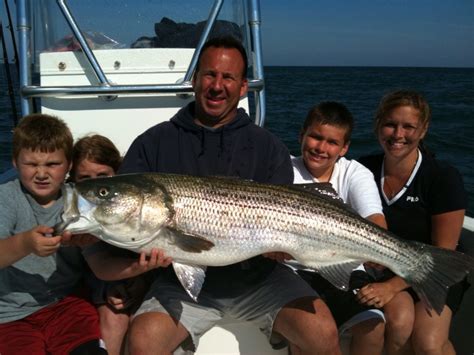 Falmouth Massachusetts Charter fishing at its finest best fishing in years countless trophy ...