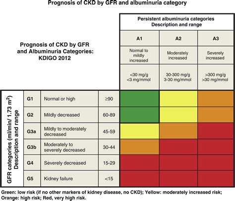 Diagnosis of diabetic kidney disease: state of the art and future ...