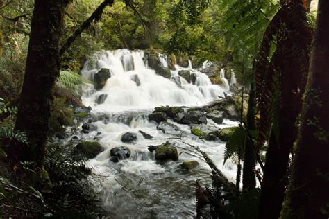 Waratah Falls