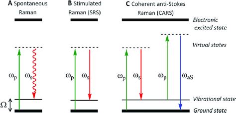 Schematic energy level diagrams for spontaneous Raman, stimulated Raman... | Download Scientific ...