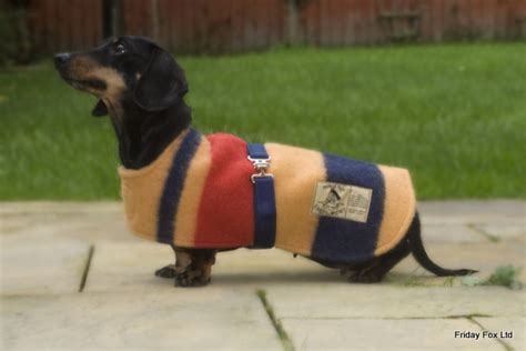 Dachshund Coats - Witney Wool miniature Dachshund Coat Friday Fox. Witney horse blankets and dog ...