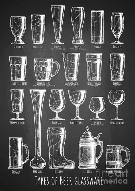 Types Of Beer Glassware Drawing by Alexander Babich - Pixels