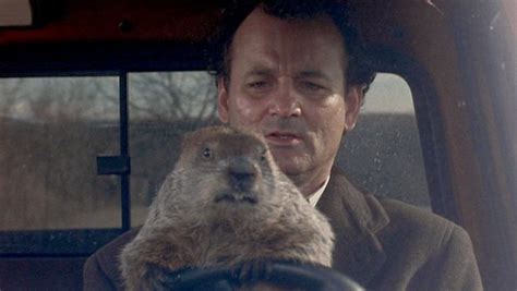 How to watch Groundhog Day online and stream the classic Bill Murray ...