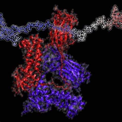 2021 Intrinsically Disordered Proteins Subgroup