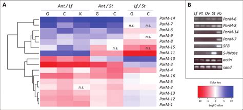 Gene expression analysis. (A) Heat map illustrating RNA-Seq... | Download Scientific Diagram