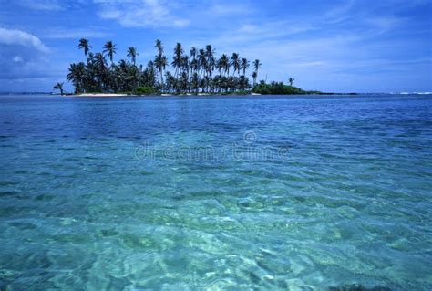 Palm Tropical Island stock image. Image of islands, trip - 802731