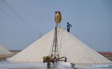 Workers produce salt amid salt ponds in N China - Xinhua | English.news.cn