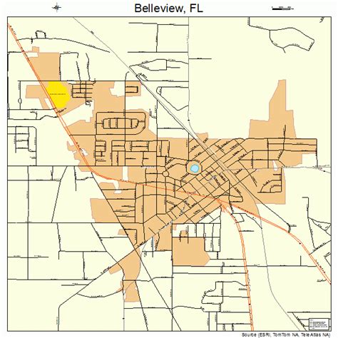 Belleview Florida Street Map 1205375