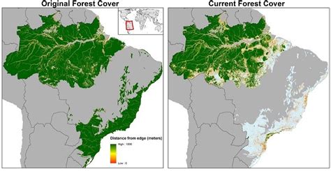 無料ダウンロード Brazilian Amazon Rainforest Map 281059-Brazil Amazon Rainforest Map