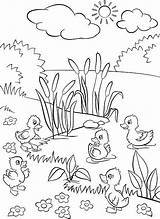 550  Duck Pond Drawing Stock Illustrations Royalty Free Vector sketch template