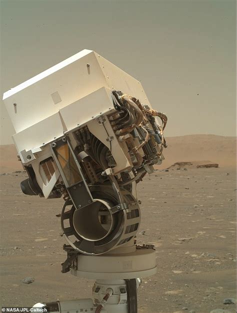 'Portrait of the Artist as a Young Bot': NASA's Perseverance rover ...