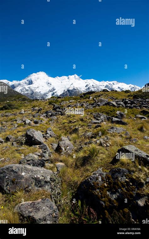 Mount Cook,South Island,New Zealand Stock Photo - Alamy