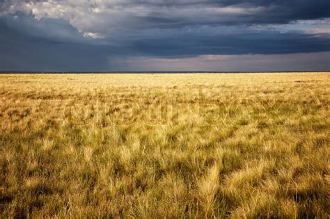 Great Kazakh steppe, Kazakhstan, ... | Stock image | Colourbox