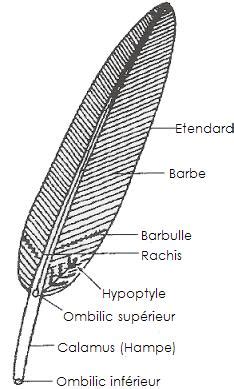 Biologie