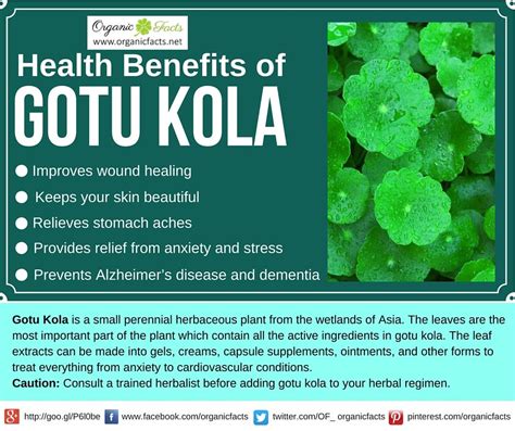 Health benefits of Gotu Kola | Health benefits, Health, Benefit