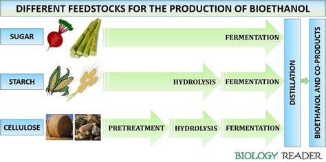 Production of Bioethanol - Definition, Facts, Generations & Production ...