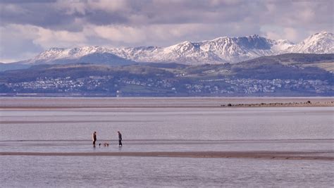 Morecambe Bay - 7 things you might not know - Hawthorns Park