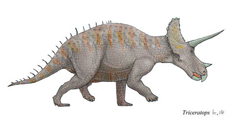 Ceratopsidae - MathKnight - Israel