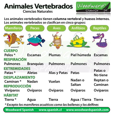 TRABAJANDO EN PRIMERO: ANIMALES VERTEBRADOS E INVERTEBRADOS