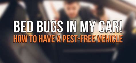 Bed Bugs in My Car! How to Have a Pest-Free Vehicle