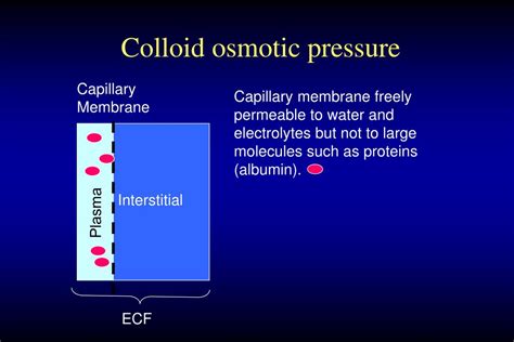 PPT - Fluid and Electrolyte Management of the Surgical Patient ...