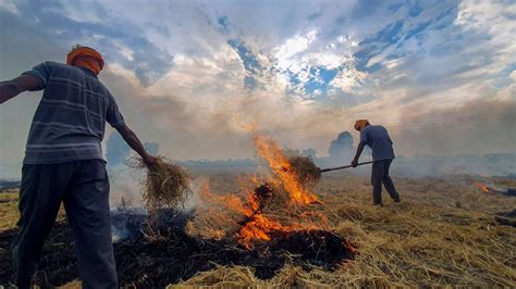 Stubble Burning