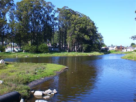 Eye Candy for the Famished: Corcoran Lagoon, Santa Cruz, California