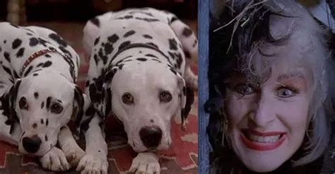 Is 101 Dalmatians Based On A True Story