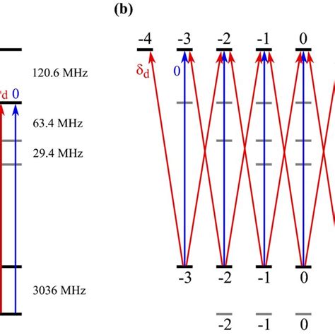 (a) Energy-level diagram of D2 transition lines of an... | Download Scientific Diagram