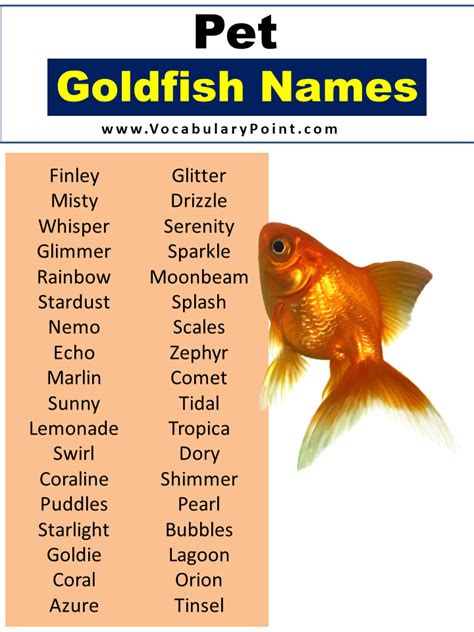 Unique Goldfish Names (Funny, Cool & Pet) - Vocabulary Point