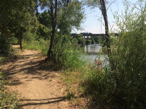 Tuolumne River Trail Gateway Park Mountain Biking Trail - Modesto, CA