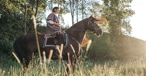 5 Native American Horse Breeds | Your Horse Farm