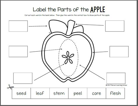 Apple Life Cycle Worksheet Packet - Mamas Learning Corner