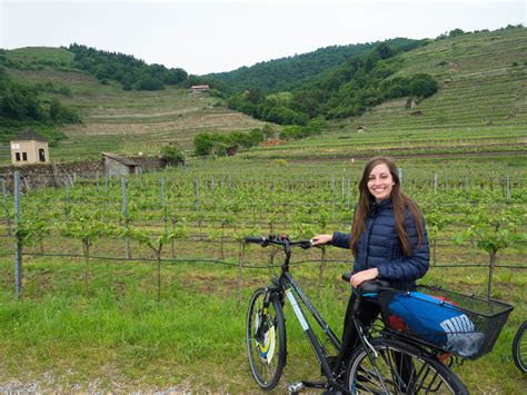 Wine-Tasting Bike Tour outside Vienna – jessicasabo.com