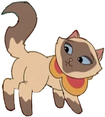 Sagwa The Chinese Siamese Cat