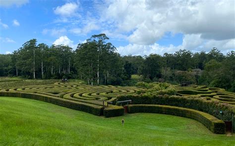 Douglas Vale Historic Homestead & Vineyard Port Macquarie