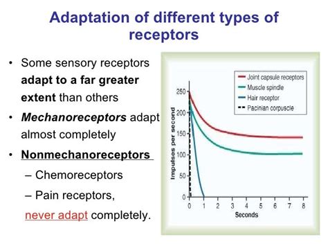 Tousif, role of receptors