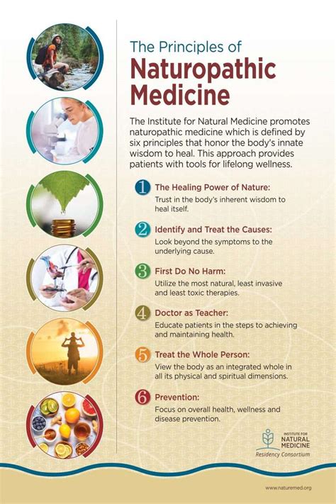 Principles of Naturopathic Medicine - Institute for Natural Medicine