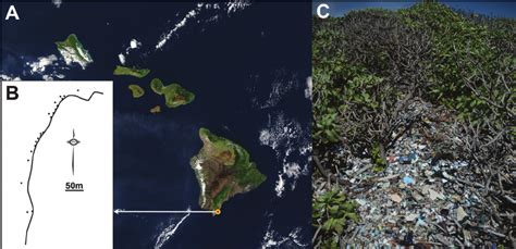 Location and characteristics of Kamilo Beach. (A) Location of Kamilo... | Download Scientific ...