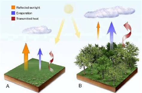 "Examples of various biophysical factors in a grassland or cropland (A)... | Download Scientific ...